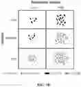 Fig. 03 - COMPOSITIONS AND METHODS OF USING INDUCIBLE SIGNALING FOR TUNABLE DYANMICS IN MICROBIAL COMMUNITIES