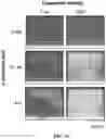 Fig. 04 - COMPOSITIONS AND METHODS OF USING INDUCIBLE SIGNALING FOR TUNABLE DYANMICS IN MICROBIAL COMMUNITIES