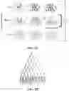 Fig. 08 - COMPOSITIONS AND METHODS OF USING INDUCIBLE SIGNALING FOR TUNABLE DYANMICS IN MICROBIAL COMMUNITIES