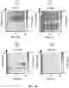 Fig. 09 - COMPOSITIONS AND METHODS OF USING INDUCIBLE SIGNALING FOR TUNABLE DYANMICS IN MICROBIAL COMMUNITIES