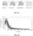 Fig. 13 - COMPOSITIONS AND METHODS OF USING INDUCIBLE SIGNALING FOR TUNABLE DYANMICS IN MICROBIAL COMMUNITIES