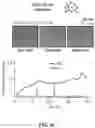 Fig. 17 - COMPOSITIONS AND METHODS OF USING INDUCIBLE SIGNALING FOR TUNABLE DYANMICS IN MICROBIAL COMMUNITIES