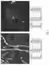 Fig. 09 - Magnesium alloy
