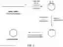 Fig. 02 - SYNTHETIC, PERSISTENT RNA CONSTRUCTS AND METHODS OF USE FOR CELL REJUVENATION AND FOR TREATMENT