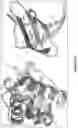 Fig. 04 - DEEP LEARNING-BASED USE OF PROTEIN CONTACT MAPS FOR VARIANT PATHOGENICITY PREDICTION