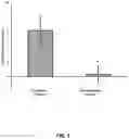 Fig. 02 - TREATMENT OF THE CORNEA USING CROSSLINKING AND MECHANICAL LOAD