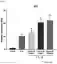 Fig. 02 - COMPOSITION FOR REINFORCING FUNCTION OF STEM CELL
