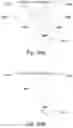 Fig. 43 - Shuttered Light Field Display