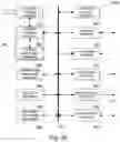 Fig. 44 - Shuttered Light Field Display