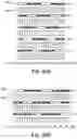 Fig. 85 - Shuttered Light Field Display