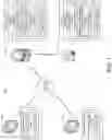 Fig. 02 - Simultaneous application support of multiple identity management systems via virtual web servers