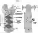 Fig. 02 - ENERGY-EFFICIENT DIRECT CO2 CAPTURE SYSTEM FROM AIR FOR HIGH-PURITY CO2 RECOVERY