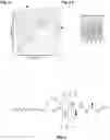 Fig. 05 - Antigenic tripeptides derived from subsp. s-type strains, derivatives and uses thereof