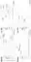 Fig. 12 - Antigenic tripeptides derived from subsp. s-type strains, derivatives and uses thereof