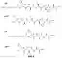 Fig. 13 - Antigenic tripeptides derived from subsp. s-type strains, derivatives and uses thereof