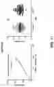 Fig. 15 - Antigenic tripeptides derived from subsp. s-type strains, derivatives and uses thereof
