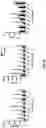 Fig. 18 - Antigenic tripeptides derived from subsp. s-type strains, derivatives and uses thereof