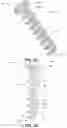 Fig. 05 - BONE FIXATION DEVICES, SYSTEMS, METHODS, AND INSTRUMENTS