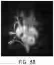 Fig. 07 - Hologram printing method and apparatus using mask