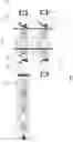 Fig. 02 - Computer-implemented detection of anomalous telephone calls