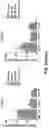 Fig. 12 - COMBINATION THERAPY FOR TREATING OR PREVENTING CANCER