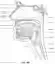 Fig. 06 - Textile seal with air-assisted biasing portion