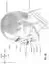 Fig. 08 - Textile seal with air-assisted biasing portion