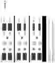 Fig. 07 - Systems and methods for onboard, real-time pickup blending for electric guitars and basses