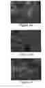Fig. 09 - ENCAPSULATED AMORPHOUS CALCIUM CARBONATE COMPOSITIONS