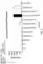 Fig. 02 - TGF-BETA INHIBITORS AND USE THEREOF
