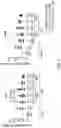 Fig. 06 - TGF-BETA INHIBITORS AND USE THEREOF