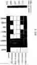 Fig. 07 - TGF-BETA INHIBITORS AND USE THEREOF