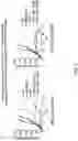 Fig. 09 - TGF-BETA INHIBITORS AND USE THEREOF