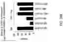 Fig. 35 - TGF-BETA INHIBITORS AND USE THEREOF