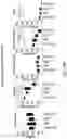 Fig. 40 - TGF-BETA INHIBITORS AND USE THEREOF