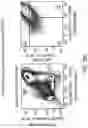 Fig. 41 - TGF-BETA INHIBITORS AND USE THEREOF