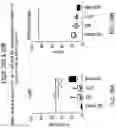 Fig. 43 - TGF-BETA INHIBITORS AND USE THEREOF
