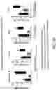 Fig. 53 - TGF-BETA INHIBITORS AND USE THEREOF