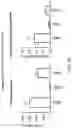 Fig. 63 - TGF-BETA INHIBITORS AND USE THEREOF