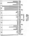 Fig. 89 - TGF-BETA INHIBITORS AND USE THEREOF