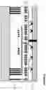 Fig. 06 - STACKED ARCHITECTURE FOR THREE-DIMENSIONAL NAND