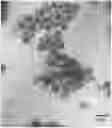 Fig. 01 - Salt-tolerant polymer microsphere plugging agent and preparation method thereof