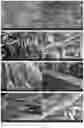 Fig. 02 - MULTI-FUNCTIONAL HYBRID MATERIAL BASED ON SEPIOLITE FOR ENVIRONMENTAL RECOVERY AND BIO-REMEDIATION