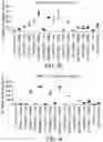 Fig. 07 - CHIMERIC ANTIGEN RECEPTORS WITH CD28 MUTATIONS AND USE THEREOF
