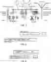 Fig. 02 - Security negotiations between different versioned protocol devices to enable backward compatibility