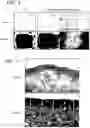 Fig. 05 - COSMETIC PROCESS USING MICRONEEDLE SHEET