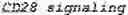 Fig. 02 - GENETICALLY MODIFIED NATURAL KILLER CELLS AND METHODS OF USE THEREOF
