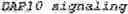 Fig. 07 - GENETICALLY MODIFIED NATURAL KILLER CELLS AND METHODS OF USE THEREOF