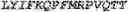 Fig. 131 - GENETICALLY MODIFIED NATURAL KILLER CELLS AND METHODS OF USE THEREOF
