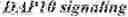 Fig. 137 - GENETICALLY MODIFIED NATURAL KILLER CELLS AND METHODS OF USE THEREOF